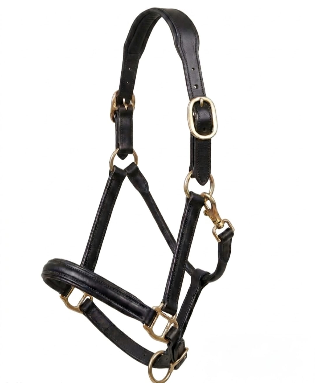 Leather Halter gallery 4